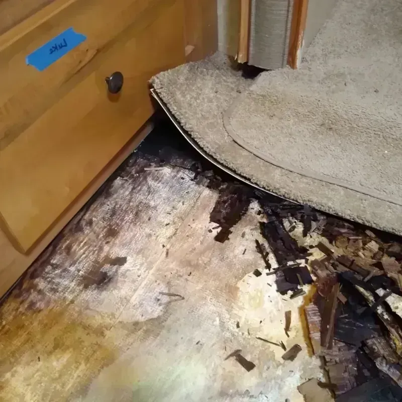 Wood Floor Water Damage in Burlington, KS